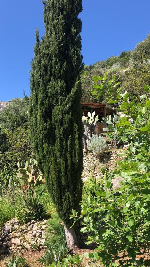 Vistalago Garden Doria Monteleone Rocca Doria Luaran gambar