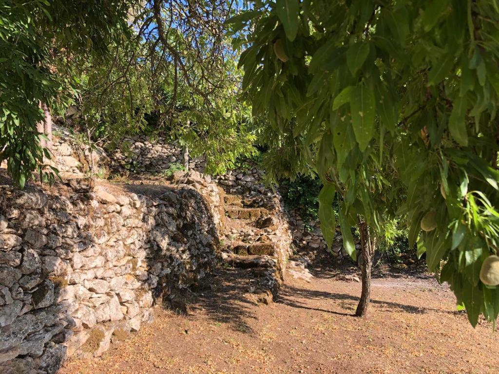 Vistalago Garden Doria Monteleone Rocca Doria Luaran gambar