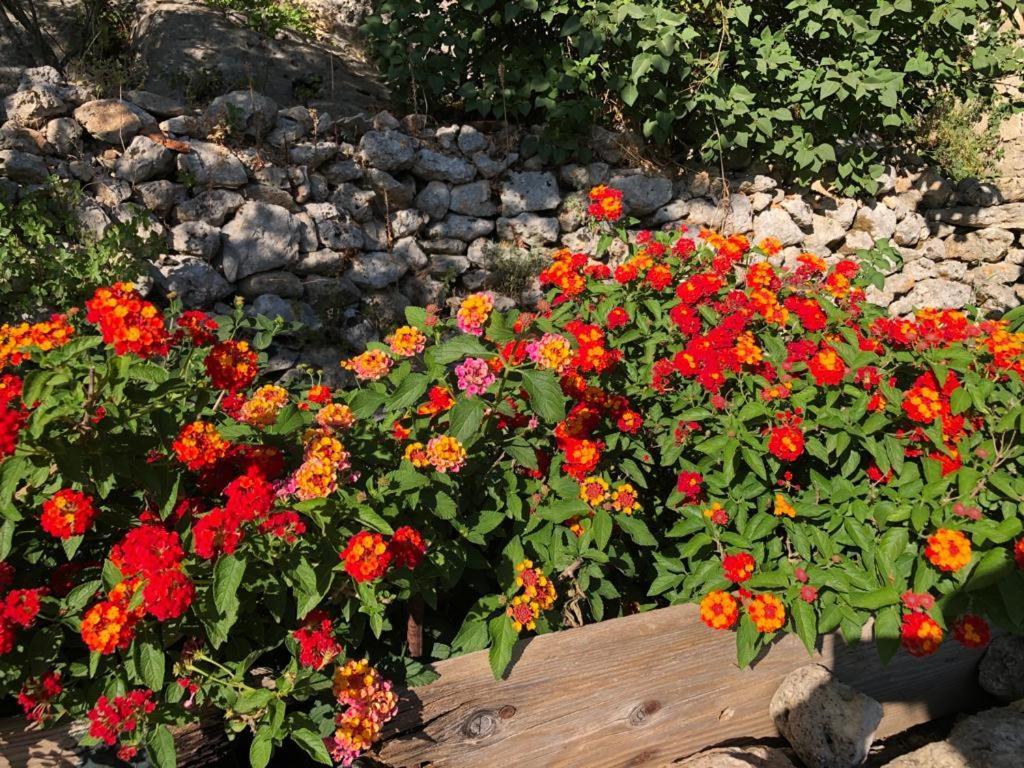 Vistalago Garden Doria Monteleone Rocca Doria Luaran gambar